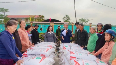 Livelihood support for disadvantaged members of My Hai Cooperative