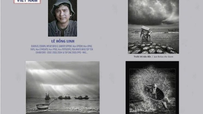 התפעלו מיופיו של "צילום ללא גבולות"