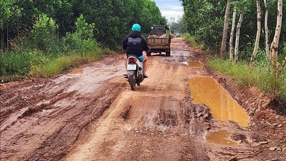 Быстро устранить препятствия на транспортной инфраструктуре, чтобы помочь экономике Тан Лоя (Донг Най) расти