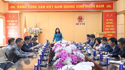 ແຕ່ງ​ຕັ້ງ​ຜູ້​ອໍາ​ນວຍ​ການ​ສະ​ຖາ​ນີ​ສຸ​ຂະ​ພາບ​ພາຍ​ໃຕ້​ສິດ​ອໍາ​ນາດ​ຂອງ​ປະ​ທານ​ຄະ​ນະ​ກໍາ​ມະ​ປະ​ຊາ​ຊົນ​ຕາ​ແສງ​, wards ແລະ​ເຂດ​ພິ​ເສດ