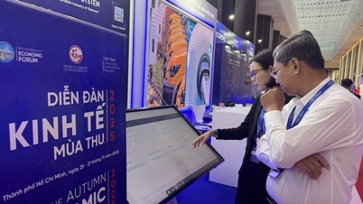 Ciudad Ho Chi Minh promueve la conexión y la cooperación para el desarrollo entre empresas vietnamitas y chinas