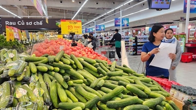 Hanoi fremmer regional tilknytning for å sikre tilbud og etterspørsel etter varer.