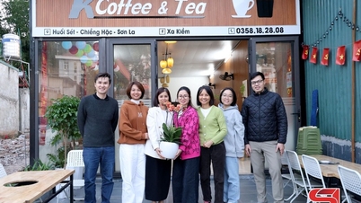 ग्रेट परियोजना पर्यटन उद्योग में व्यावसायिक प्रशिक्षण और रोजगार की प्रभावशीलता की निगरानी करती है।