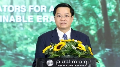 การเปลี่ยนแปลงสีเขียวสร้างความเชื่อมั่นให้กับนักลงทุน