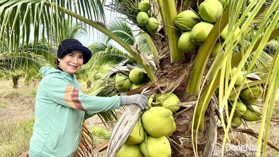 Agricultural boost in Loc Thanh border area