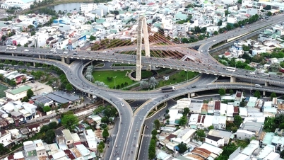 দা নাং-এর ৮ জন ভাইস চেয়ারম্যান একাধিক বৃহৎ প্রকল্পের বাধা দূর করার জন্য টিম লিডার হয়েছেন