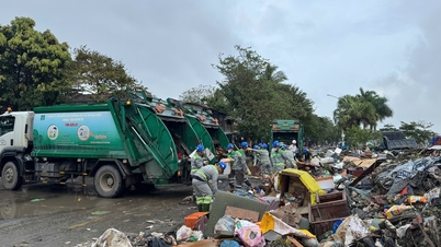 বন্যার পর আবর্জনা সংগ্রহ ও পরিবহনের জন্য ৫০টি যানবাহন সহায়তা করার জন্য ডাক লাক হো চি মিন সিটিকে অনুরোধ করেছেন।