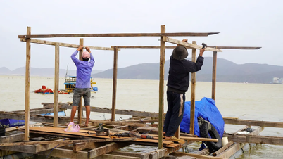 Gia Lai reagiert umgehend auf Sturm Nr. 15