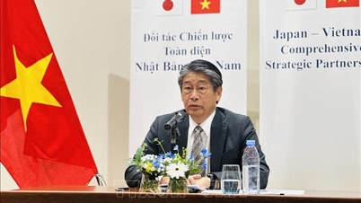Jól halad előre a Vietnam–Japán átfogó stratégiai partnerség