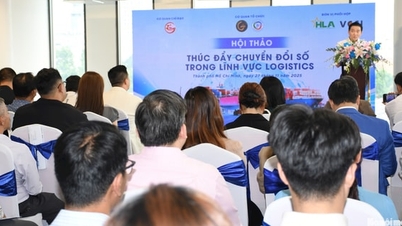 Ho-Chi-Minh-Stadt fördert die digitale und grüne Transformation im Logistiksektor