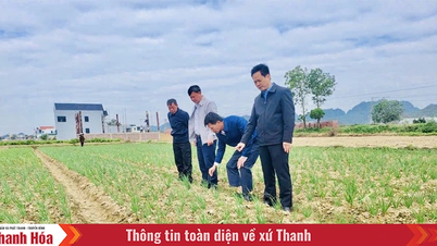 बा दीन्ह शीतकालीन फसल उत्पादन में लचीले ढंग से समाधान प्रदान करता है