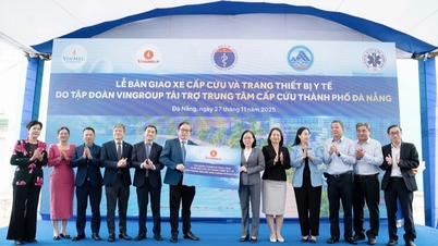 Vingroup جدید ہنگامی صلاحیت کو بہتر بنانے کے لیے Da Nang کی حمایت کرتا ہے۔