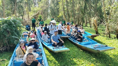 Delegația internațională Famtrip a studiat zonele și obiectivele turistice din An Giang