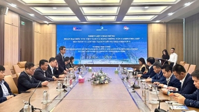 Industriepark Lien Ha Thai: ESG-standaardmodel trekt internationale aandacht