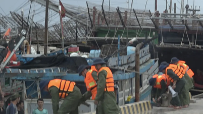 منطقة ترونغ سا الخاصة تدعم أكثر من 2500 صياد في الاحتماء بأمان من العواصف