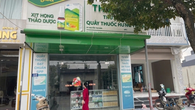 ทั่นฮวาขอให้ชี้แจงกรณีผู้ประมูลที่ดินไม่มีหนังสือแดง