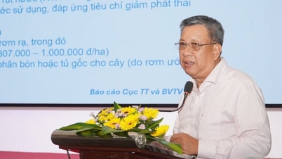 Delta Mekongului are peste 700.000 de tone de orez cu emisii reduse