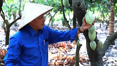 วิทยาศาสตร์และเทคโนโลยี – กุญแจสำคัญสู่การพัฒนาอย่างยั่งยืน