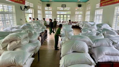 Se completó el transporte de 2.000 toneladas de arroz de reserva nacional a las localidades para su distribución a la población.