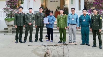 Người dân xã Nghĩa Đô giao nộp cá thể khỉ hoang dã cho cơ quan chức năng