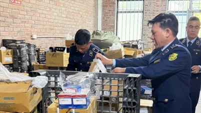 Hanoi descubrió decenas de miles de rodamientos con signos de falsificación de la marca SKF