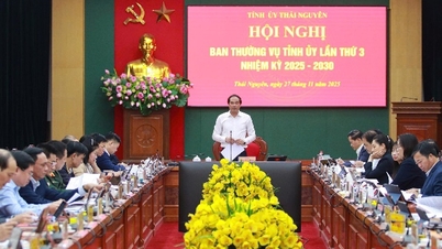 The Provincial Party Standing Committee gave opinions on projects to implement the Resolution of the Provincial Party Congress, term 2025 - 2030