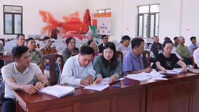 Tập huấn IPHM giúp nông dân Mê Linh đổi mới sản xuất