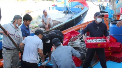 'Sổ tay thông minh' giúp ngư dân truy xuất nguồn gốc thủy sản nhàn tênh