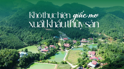 Svårt att förverkliga drömmen om att exportera fisk och skaldjur