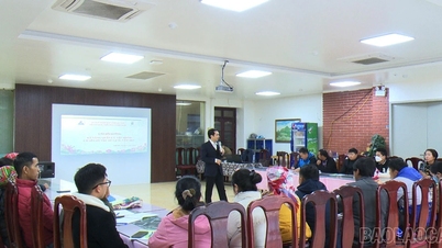 Бак Ха: Организация учебных курсов по навыкам управления и эксплуатации объектов размещения туристов