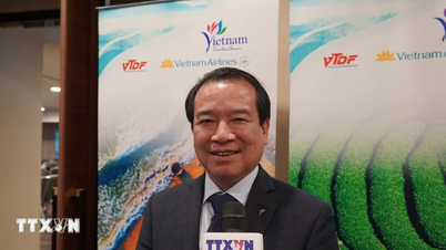 Toerisme - de meest dynamische brug die Vietnam en Australië verbindt