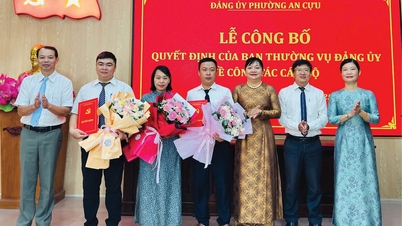 Продолжайте организовывать и назначать соответствующий персонал