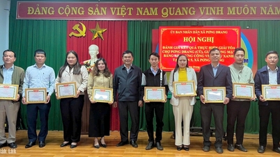 Pong Drang: Summary of the work of clearing the old market, handing over the site for building a green park