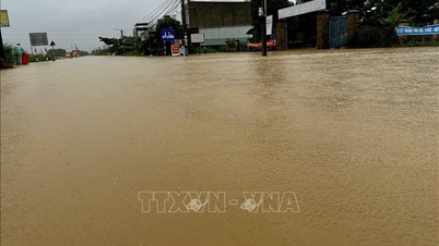 6 tỉnh, thành phố Trung Bộ và Tây Nguyên bảo đảm an toàn đê điều ứng phó bão số 15