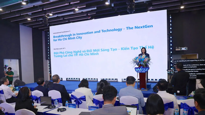 Bandar Raya Ho Chi Minh bertujuan untuk mencipta ekosistem permulaan kreatif yang lengkap