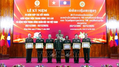 В'єтнам - Лаос прагнуть нових досягнень у військовій медицині