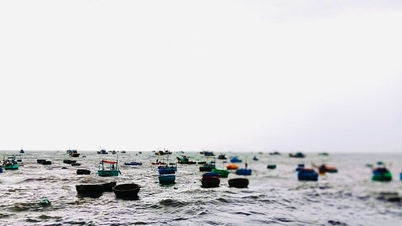 ຕອບ​ໂຕ້​ພະຍຸ​ເລກ 15, ລຳ​ດົງ ຫ້າມ​ກຳ​ປັ່ນ​ທຸກ​ລຳ​ເຄື່ອນ​ໄຫວ​ຢູ່​ທະ​ເລ​ແຕ່ 7 ​ໂມງ​ເຊົ້າ​ວັນ​ທີ 28 ພະຈິກ.