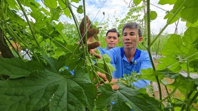 Фермери виходять з бідності завдяки оволодінню ринковою інформацією