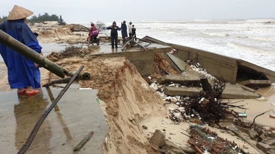 Jordbruks- och miljöministeriet begär skydd av vallar och havsvallar mot storm nr 15