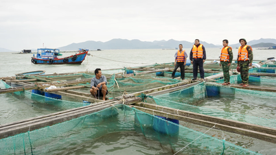 برداشت محصولات آبزی، تقویت قفس‌ها برای "فرار از طوفان"