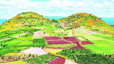 Het "winterheraut"-bloemenseizoen van de Centrale Hooglanden