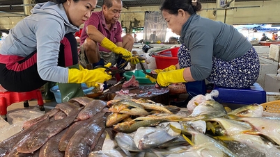 A tenger íze télen