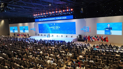 নিরাপত্তা - ভিয়েতনামের "নরম ব্র্যান্ড"-এর অবস্থান নির্ধারণ