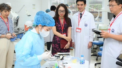 Медична та юридична підготовка у спеціалізованих або багатопрофільних навчальних закладах?