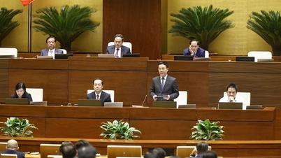 Le 28 novembre, l'Assemblée nationale a poursuivi l'examen des projets de loi.