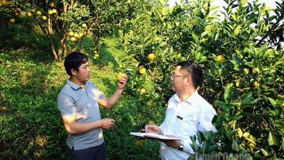 Pomóż ludziom rozwijać gospodarkę