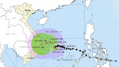 Thời tiết ngày 28/11: Bão số 15 giật cấp 14, vùng biển miền Trung biển động dữ dội