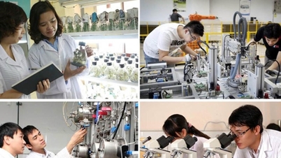 آبی ماہرین کے لیے چیف انجینئر کے طور پر کام کرنے کے لیے بہترین حالات پیدا کریں۔