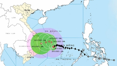 Storm nr. 15 met windstoten van niveau 14, de zee in het centrale gebied is erg ruw