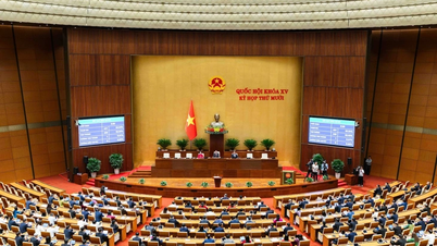 सुबह की खबरें 11-28: राष्ट्रीय सभा की बैठक 2050 के दृष्टिकोण के साथ राष्ट्रीय मास्टर प्लान को समायोजित करने के लिए